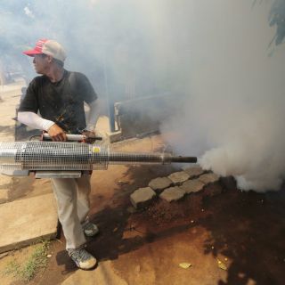 Preocupa a Salud Jalisco repunte de casos de dengue