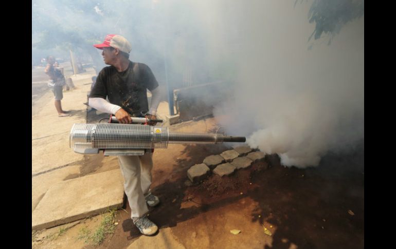 En esa misma semana se registran 15 casos del virus de chikungunya, con lo que se llega a un total de 62 contagios. AFP / ARCHIVO