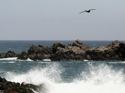 Este sistema puede originar inundaciones en zonas costeras. EL INFORMADOR / ARCHIVO