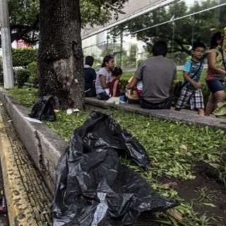 Áreas verdes de Chapultepec registran daños tras desfiles