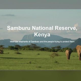 La tecnología, al rescate de los elefantes en África