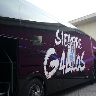 La PGR debe informar sobre devolución de Gallos Blancos