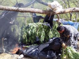 Se dio cuenta de los hechos a la XV Zona Militar y al MP. TWITTER / @fiscaliajal