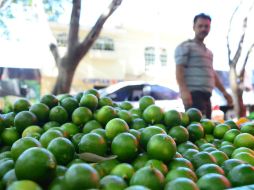 El producto jalisciense es exportado a Corea del Sur y Japón. EL INFORMADOR / ARCHIVO
