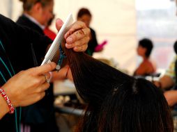 El especialista indica que el cabello pasa por tres ciclos: crece, reposa y cae. NTX / ARCHIVO