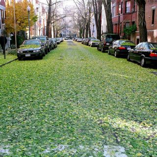 El otoño llega durante la madrugada de este miércoles