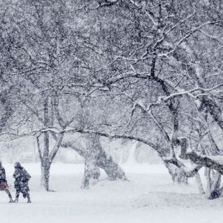 Escoceses tienen 421 palabras para la nieve