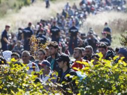 No definen un calendario para su reubicación, pero aseguran que el proceso podrá arrancar muy pronto. EFE / G. Varga