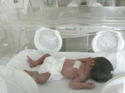 Tras la muerte de dos bebés en Culiacán por una bacteria, seis menores están en vigilancia. EL INFORMADOR / ARCHIVO