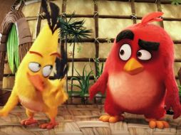 Conoceremos a fondo la personalidad de Red y sus amigos. YOUTUBE / Sony Pictures Entertainment