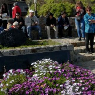 La Fundación Neruda demanda que restos del poeta vuelvan a su tumba