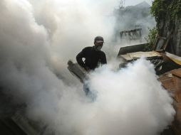 Llaman a la población a tomar medidas preventivas que reduzcan el riesgo de padecer chikungunya y dengue. AP / ARCHIVO