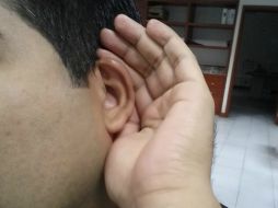 Los padres deben estar atentos a las condiciones auditivas de sus hijos. EL INFORMADOR /