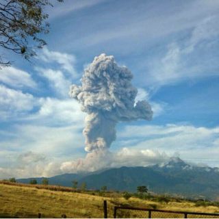 Volcán El Colima lanza fumarola de 2.2 kilómetros con ceniza
