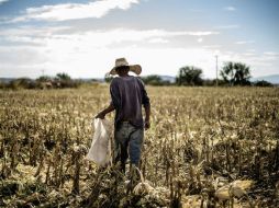 Existe una relación entre la satisfacción con la democracia y desempeño económico de la región. EL INFORMADOR / ARCHIVO