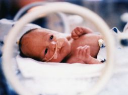 Piden al organismo dar a conocer las medidas que se pondrán en marcha para evitar más muertes de neonatos en el nosocomio. EL INFORMADOR / ARCHIVO