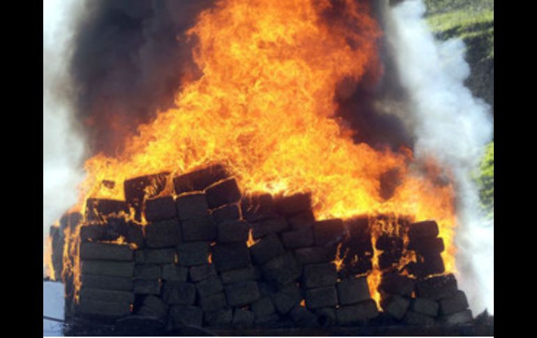 La PGR supervisa la destrucción de más de 13 toneladas de narcóticos, así como de mercancía decomisada en diferentes operativos. EL INFORMADOR / ARCHIVO