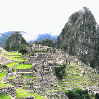 Machu Picchu