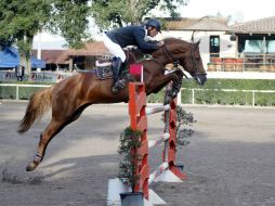 El jinete del Club Hípico Las Palmas, Pablo Toscano a lomos de 'Semilly Las Palmas' en el Guadalajara Jockey Club. EL INFORMADOR / A. Camacho
