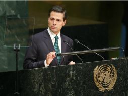 Dijo que después de que se lograron poner de acuerdo sobre el contenido, el desafío es lograr una implementación eficaz. EFE / M. Campbell