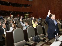 Subraya que aún existen espacios preocupantes de opacidad al interior de la Cámara de Diputados. NTX / ARCHIVO
