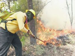 Sin descanso. Un trabajador combate el incendio para evitar su propagación. EL INFORMADOR / A. García