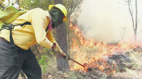 Sin descanso. Un trabajador combate el incendio para evitar su propagación. EL INFORMADOR / A. García