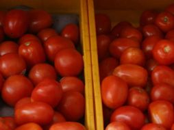 El jitomate saladette fue el producto que más disminuyó su precio. EL INFORMADOR / ARCHIVO