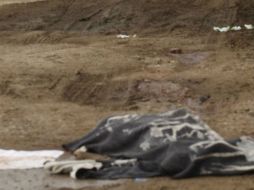 Las víctimas eran originarias de Morelos. EL INFORMADOR / ARCHIVO