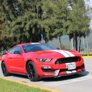 Ford Mustang GT350: Nuevo amigo de las curvas