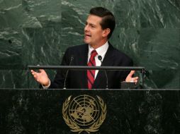 Todo se contempla en análisis del Informe a fin de que el Presidente amplíe información sobre el documento enviado el 1 de septiembre. EFE / J. Szenes