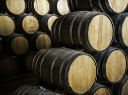 La industria en la actualidad genera importantes beneficios económicos y sociales. EL INFORMADOR / J. Mendoza