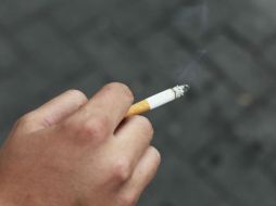 Las colillas contienen tóxicos que se propagan en los suelos y el agua. EL INFORMADOR / ARCHIVO