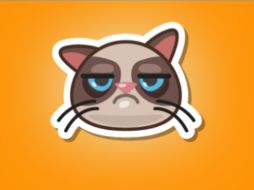 'Grumpy Cat' fue el elegido para protagonizar la campaña. ESPECIAL / Swarm