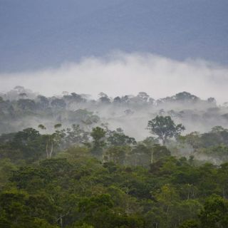 Greenpeace protesta contra subasta petrolera en el Amazonas