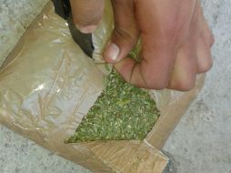 Personal de Ciencias Forenses realiza exámenes para determinar de manera oficial si había mariguana en el pastel. NTX / ARCHIVO