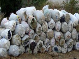 Sólo en septiembre del año en curso, la Sedena incautó 621 kilos 433 gramos de marihuana. EL INFORMADOR / ARCHIVO