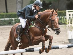 Pablo Toscano, a lomos de “Semilly Las Palmas”, en la prueba libre de obstáculos a 1.40 metros. EL INFORMADOR / F. Atilano