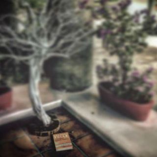 Bárbara Mori quiere 'sembrar' libros