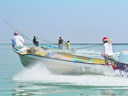 En México, 17 de los 31 estados obtienen su producción pesquera del mar, y de ellos Sonora y Sinaloa son los primeros. NTX / ARCHIVO