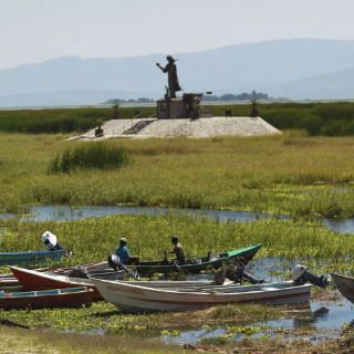 Piden saneamiento y retirar lirio en Chapala