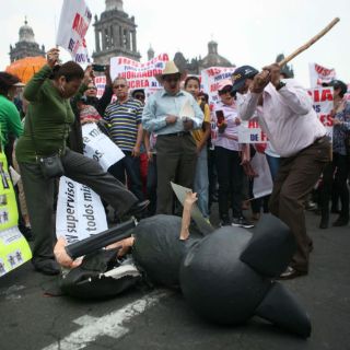 Juez federal declara quiebra de Ficrea