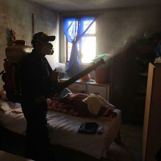 Reportan 53 casos de dengue en Reynosa