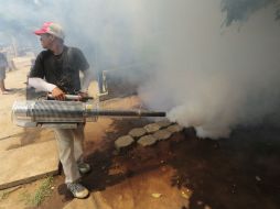 Se han desplegado acciones preventivas para evitar que el brote avance. EL INFORMADOR / ARCHIVO