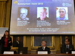 Los hallazgos de los galardonados se han empleado para desarrollar  tratamientos contra el cáncer. AFP /  J. Nackstrand