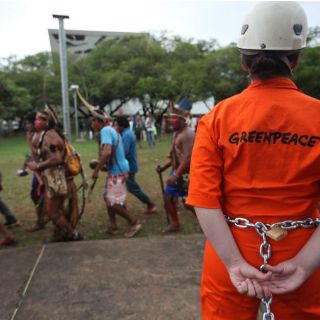 Cada semana asesinan a dos activistas ambientales