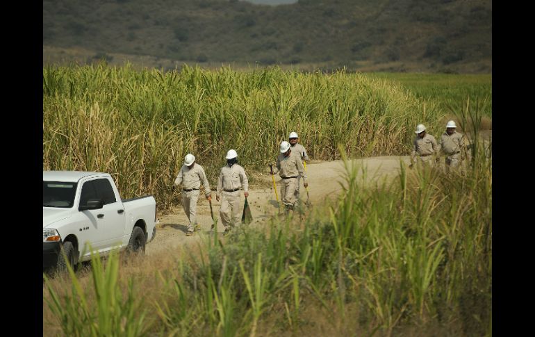 El área jurídica de Petróleos Mexicanos tomó conocimiento de los hechos. EL INFORMADOR / ARCHIVO