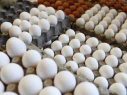 El huevo fresco de Jalisco ya se exporta a Estados Unidos. EL INFORMADOR / ARCHIVO