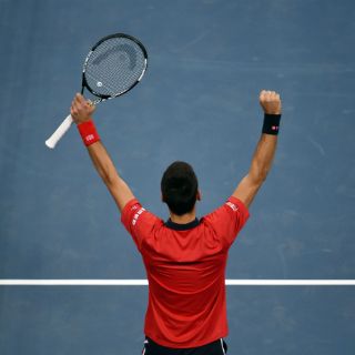 David Ferrer cae ante Novak Djokovic