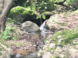 Las corrientes que se desprenden de la cañada de Ayutita, riegan los sembrados de caña. EL INFORMADOR / V. García Remus